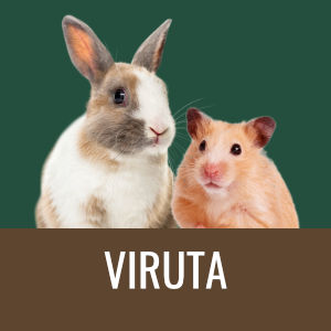 Minipets Viruta